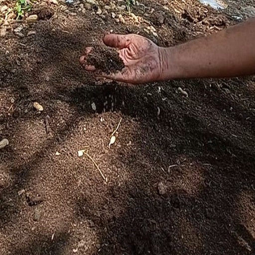 vermicompost